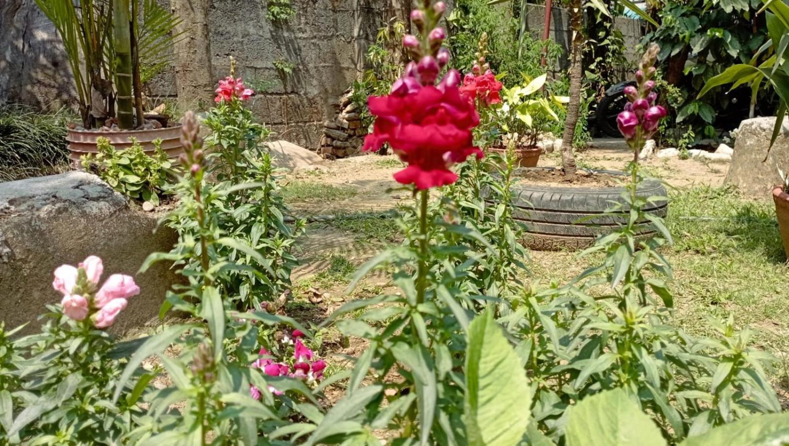 Cherry Garden Покхара Экстерьер фото