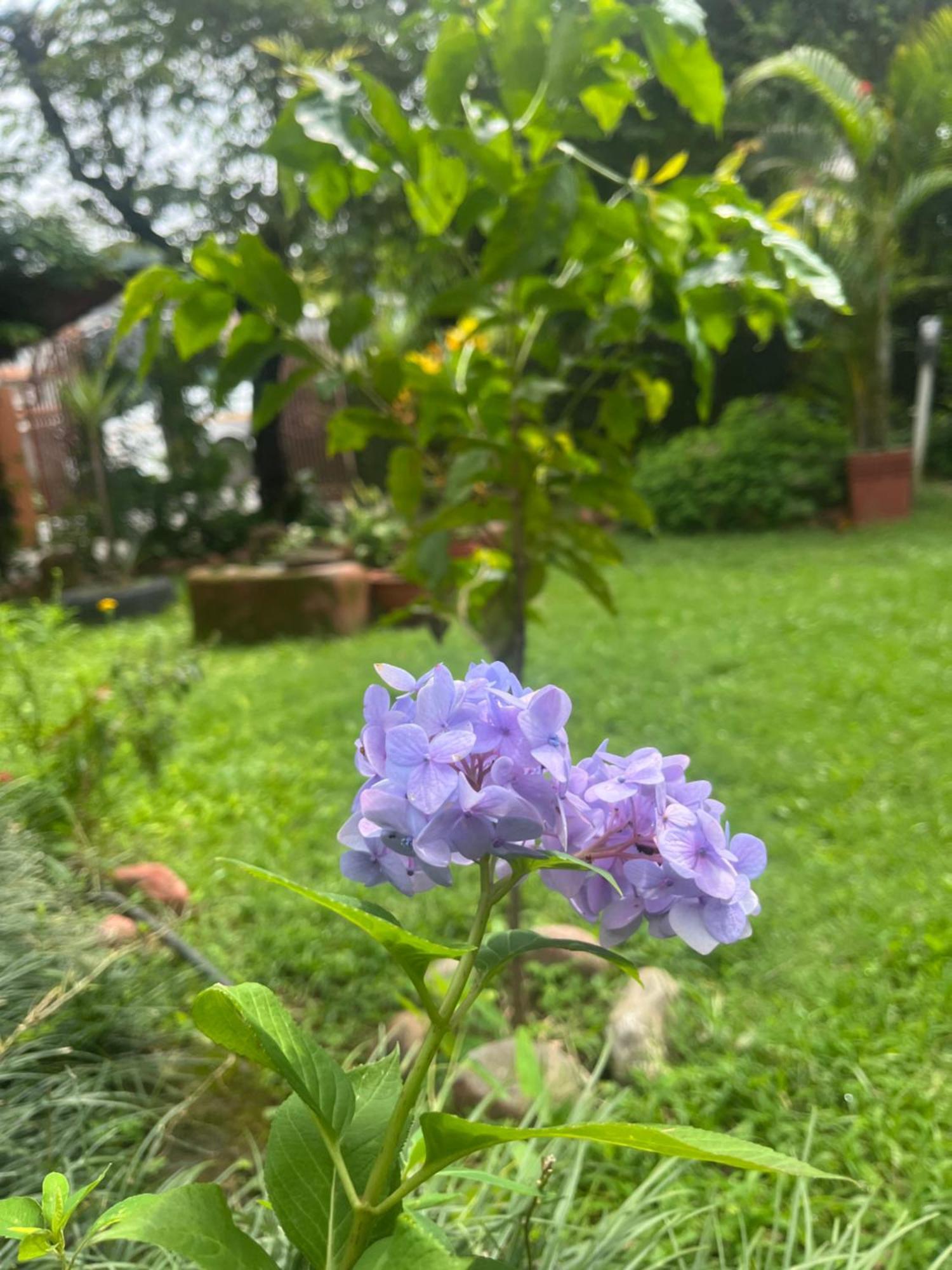 Cherry Garden Покхара Экстерьер фото